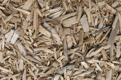 biomass boilers Botternell
